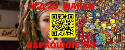 apvp Гатчина