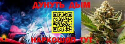 apvp Гатчина