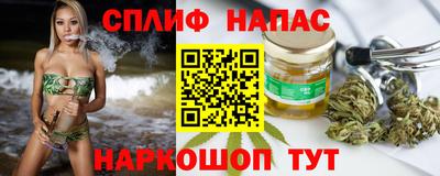 гашик Гагарин