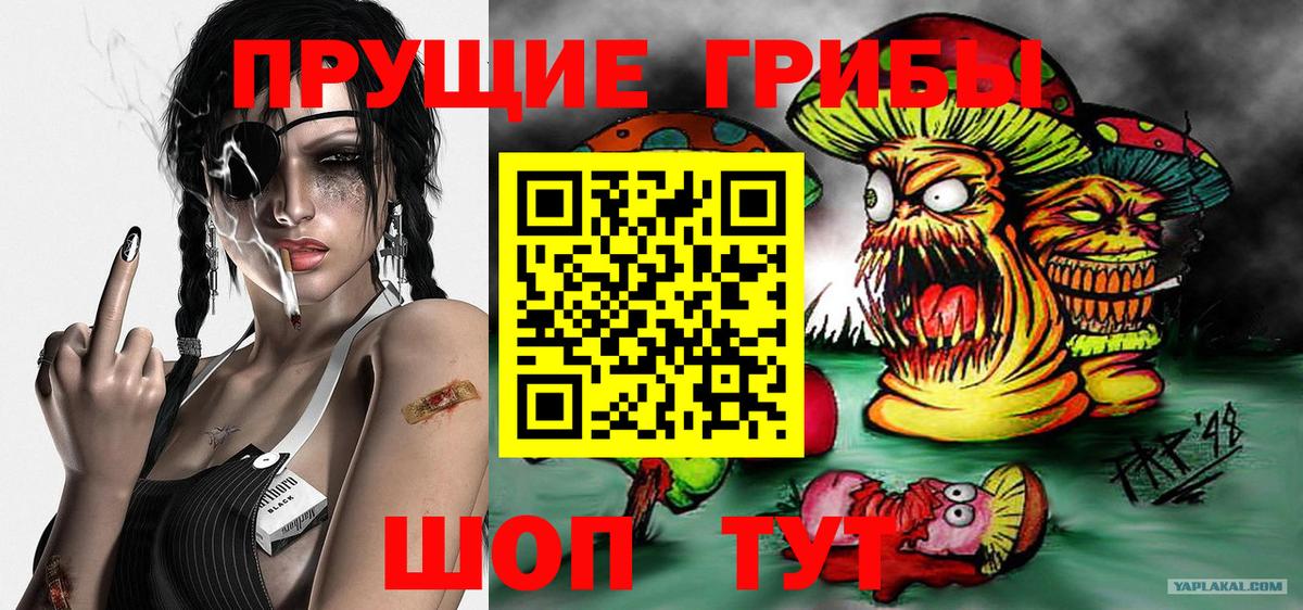Галлюциногенные грибы прущие грибы  Псилоцибиновые грибы Magic Shrooms  Алатырь 