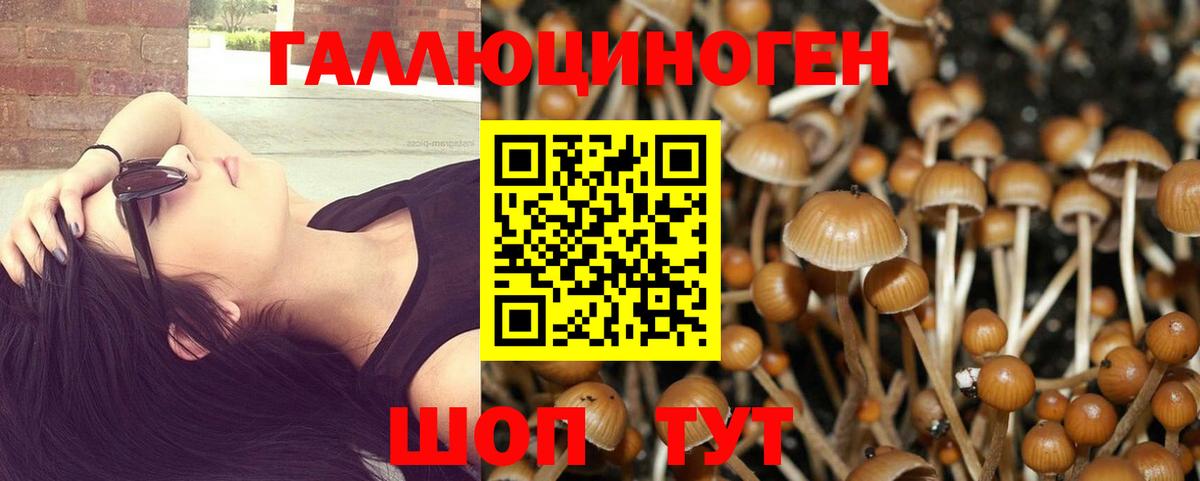 Галлюциногенные грибы мухоморы Алатырь