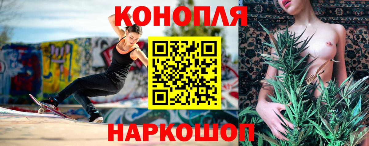 Марихуана сатива Алатырь